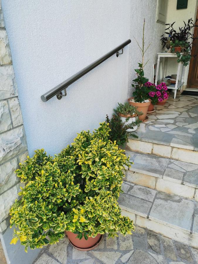 Bugenvila Rogoznica  Exterior foto